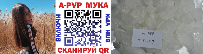 A-PVP СК Волгоград