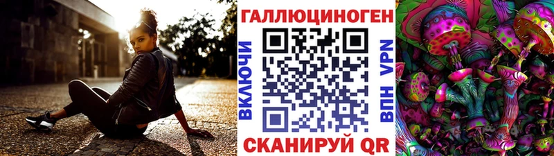 где купить   Волгоград  Псилоцибиновые грибы Cubensis 