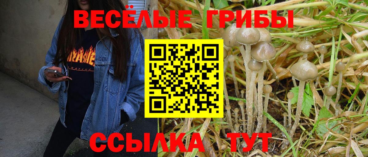 Волгоград  Галлюциногенные грибы Psilocybe  Вход с VPN 