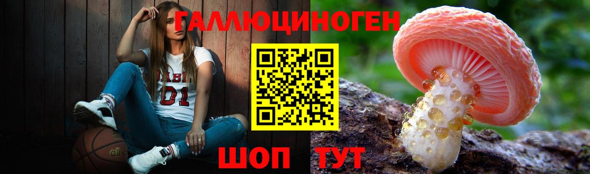 Галлюциногенные грибы GOLDEN TEACHER Волгоград
