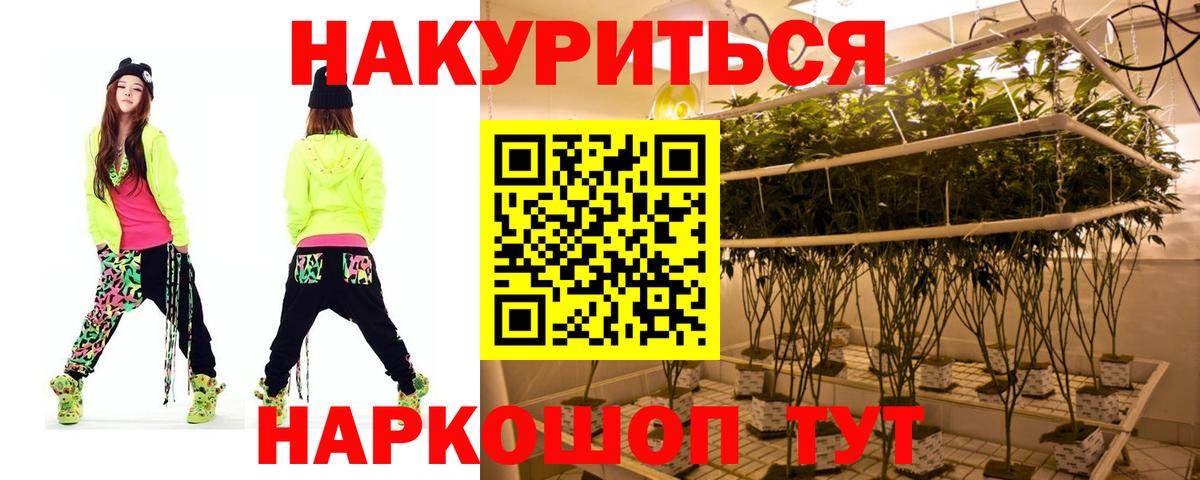 Конопля гибрид  Канабис сатива  Волгоград  Шишки марихуана гибрид  Шишки марихуана гибрид 