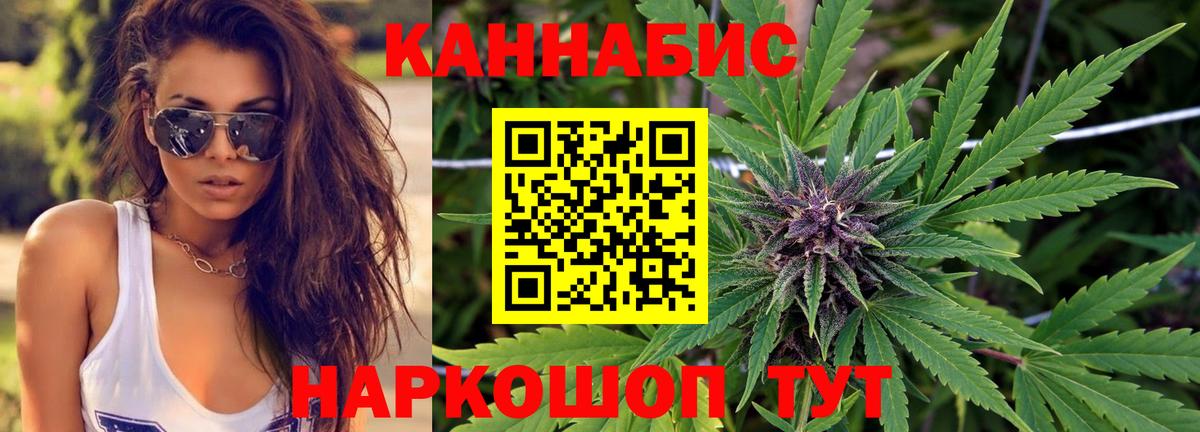 Шишки марихуана планчик  Каннабис сатива  Волгоград  Шишки марихуана Bruce Banner  Конопля индика  Вход с VPN 
